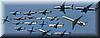 2002-12-21e Planes.jpg