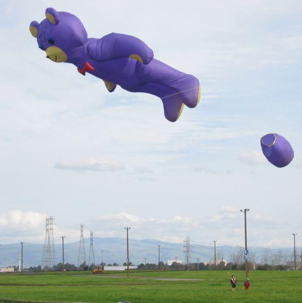 2003-02-16a Bear kite.JPG