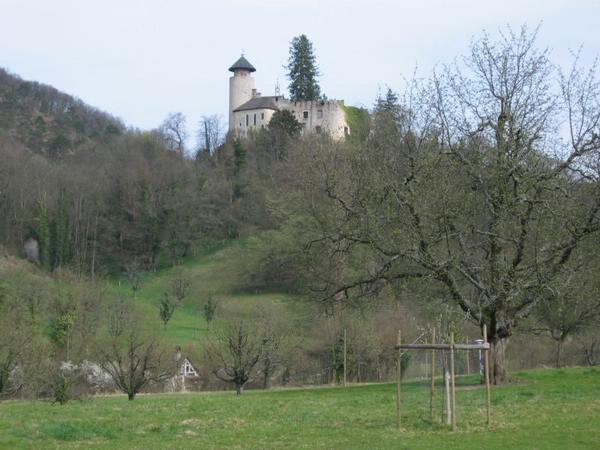 2003-03-29i Arlesheim Castle.JPG