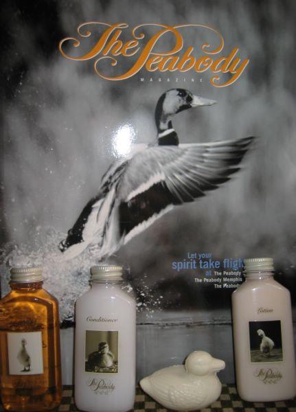 2003-06-17b Peabody Ducks 2.JPG