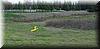 2003-02-15d Rough landing.JPG