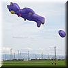 2003-02-16a Bear kite.JPG