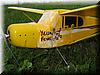 2003-02-23a Yellow Fever.JPG