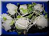 2003-08-10a Japanese Appetizer 1.JPG