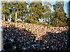 2003-08-16c Greek Theatre.JPG