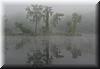 2003-10-06a Morning Fog.JPG