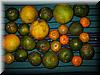 2003-11-19j USD 1.50 Worth of Citrus.JPG