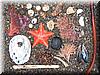2003-12-29c Still Life.JPG
