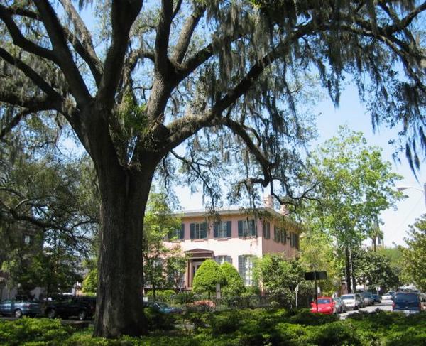 2004-04-17b House and Tree.JPG