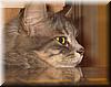 2004-03-17c Max's Attention.JPG