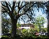 2004-04-17b House and Tree.JPG