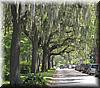 2004-04-17i Street and Moss.JPG