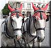2004-05-04i Horses.jpg