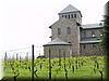 2004-05-15e Vineyards.JPG