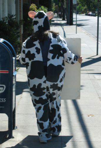 2004-08-01a Street Cow.jpg