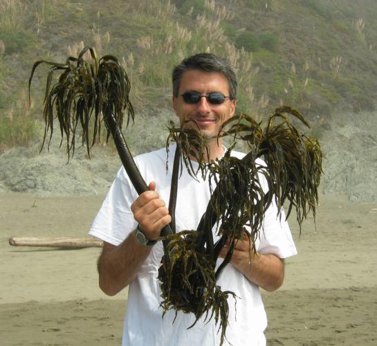 2004-09-11j Palm Kelp.JPG