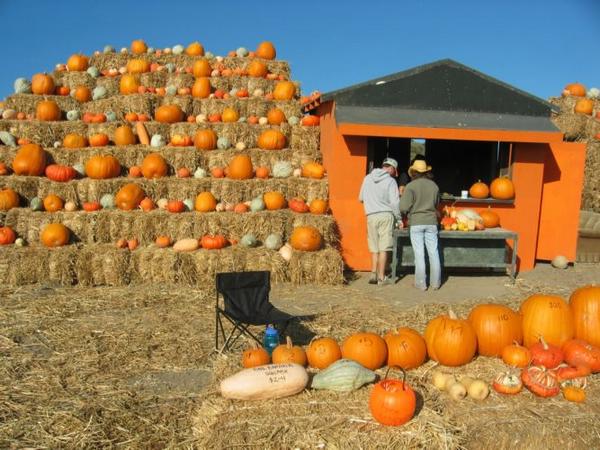 2004-09-25n Pumpkin Stand.JPG