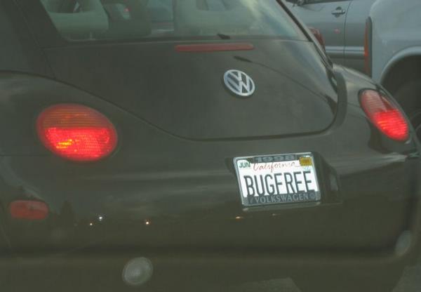 2004-10-11 Bug-Free Bug.JPG