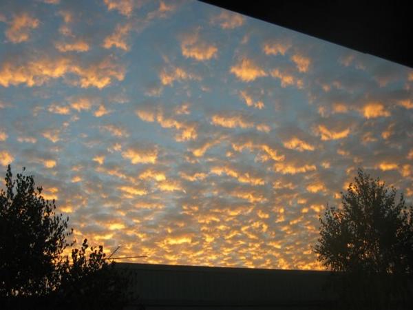 2004-11-01 Concrete Sunset.JPG