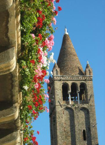 2004-11-21i Flowers and Tower.jpg