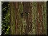 2004-08-01b House Number.JPG