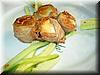 2004-08-02b Appetizer.JPG