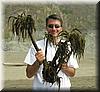 2004-09-11j Palm Kelp.JPG