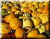 2004-10-31f Pumpkins.JPG