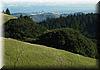 2004-11-27c Garden SF.JPG
