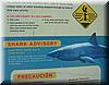 2004-11-27f Sharks.JPG