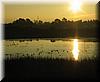 2004-12-11d Sunset Pond.JPG