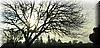 2004-12-25c Sallow Light.JPG