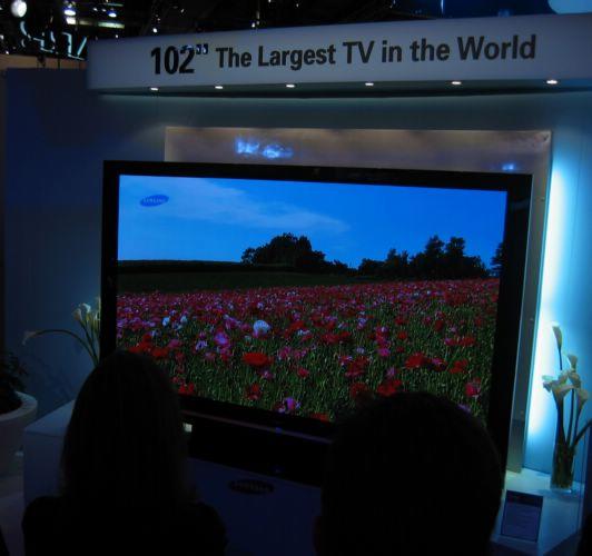 2005-01-08b World's Largest TV.JPG