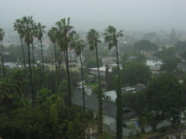 2005-01-09c Grey San Diego.JPG