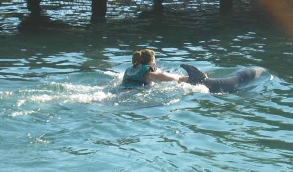 2005-01-25l Swim With Dolphins.JPG