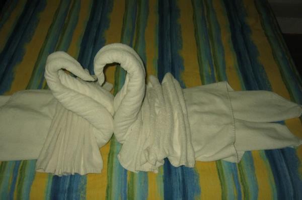 2005-01-29m Towel Swans.JPG
