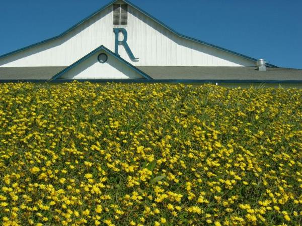 2005-04-02a Roche Winery.JPG