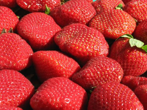 2005-05-21 Strawberries.JPG