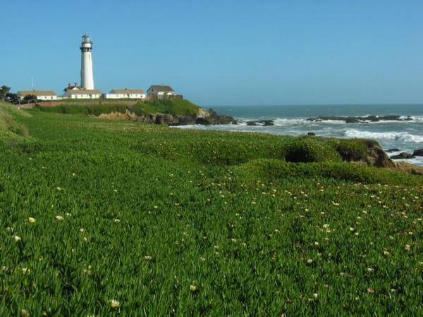 2005-05-22h Pigeon Point Lighthouse.JPG