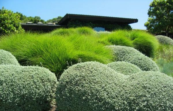 2005-06-12g Building Bushes.JPG