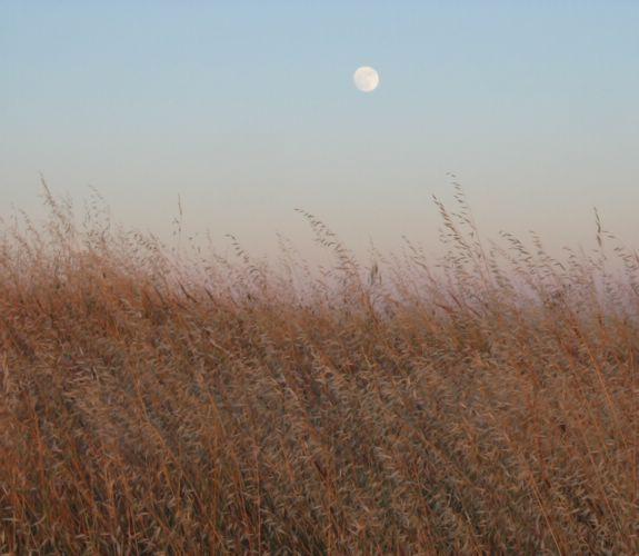 2005-06-20c Moon 2.JPG