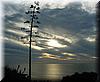 2005-01-13m Sunset.JPG