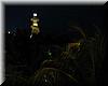 2005-01-23n Lighthouse by Night.JPG