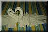 2005-01-29m Towel Swans.JPG