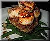 2005-03-19b Scallops.JPG