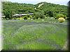 2005-06-12b Mantanzas Creek Winery.JPG