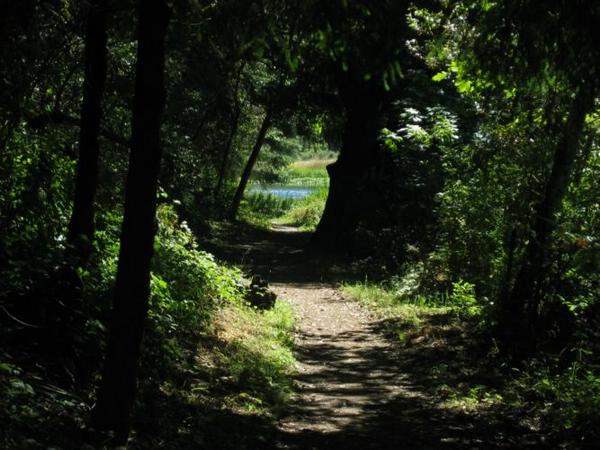 2005-07-02c Walk to Horseshoe Lake.jpg