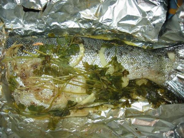 2005-07-15c Salmon.jpg