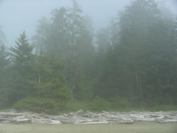 2005-08-17h Fog Beach.JPG