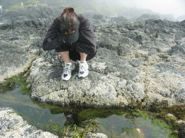 2005-08-17i Tide Pool.JPG